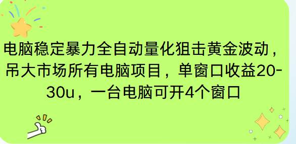 （16737期）电脑EA策略挂机项目单窗口收益20-30u，单电脑可挂5-10个窗口收益稳健4位数-星玥资源网