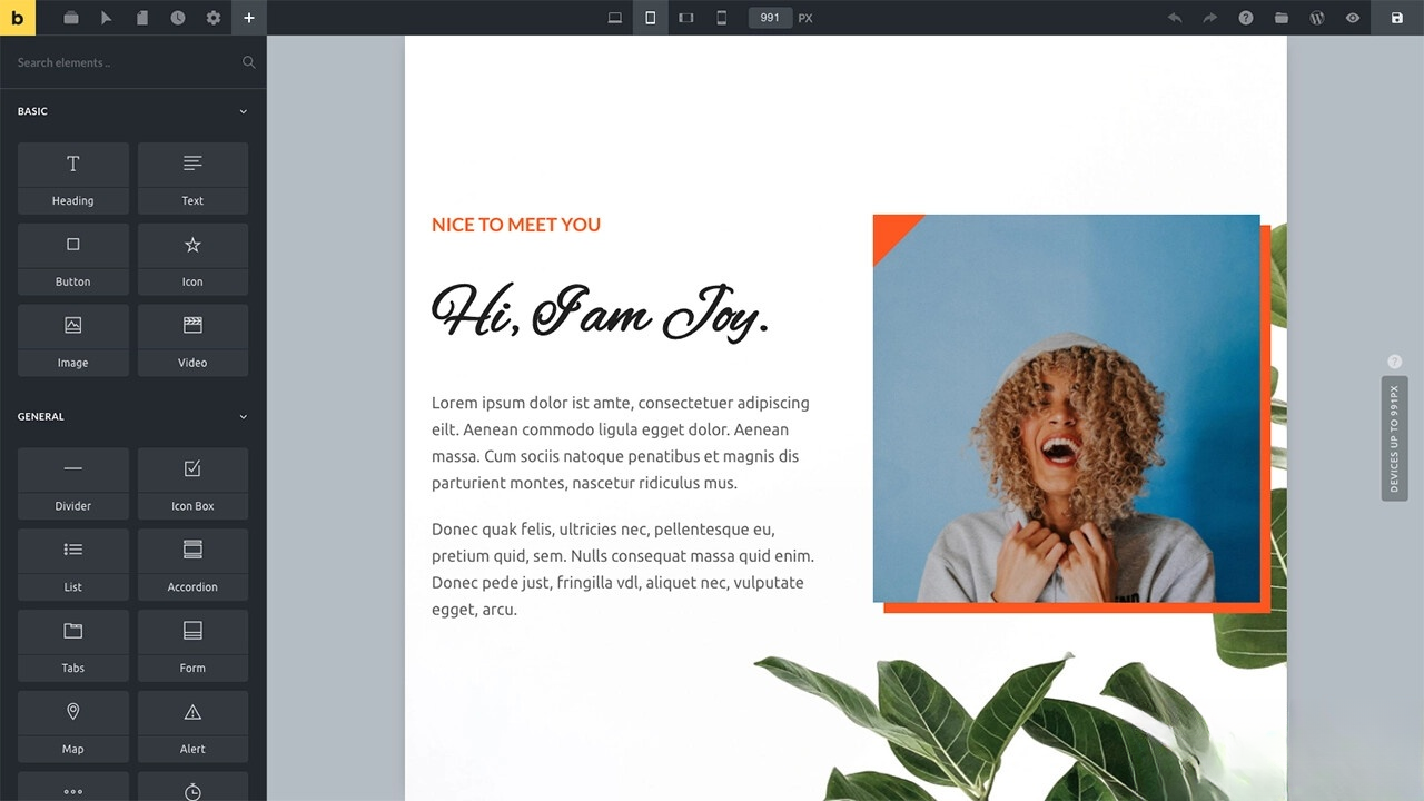 WordPress主题Bricks v1.9 破解版-星玥资源网