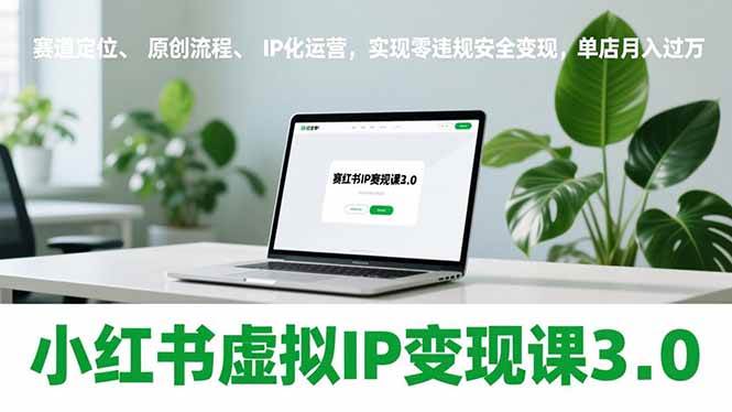 （17029期）小红书虚拟IP变现课3.0，赛道定位、原创流程、IP化运营，实现零违规安全变现，单店月入过万-星玥资源网