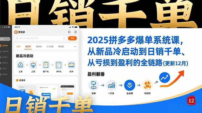 （16894期）2025拼多多爆单系统课，从新品冷启动到日销千单、从亏损到盈利的全链路（更新12月）-星玥资源网