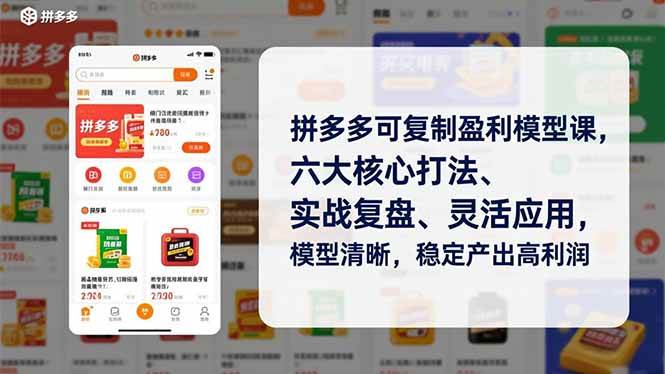 （16952期）拼多多可复制盈利模型课，六大核心打法、实战复盘、灵活应用，模型清晰，稳定产出高利润-星玥资源网