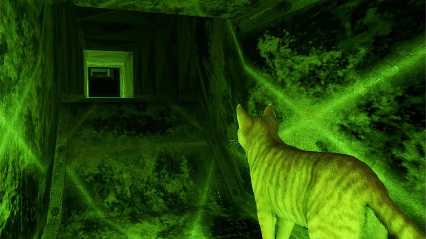 【美版】小猫大营救2 .Little Strays 2 中文