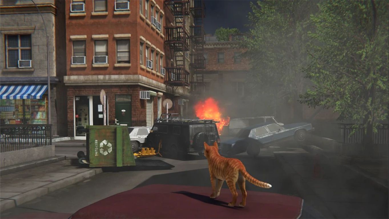 【美版】小猫大营救2 .Little Strays 2 中文