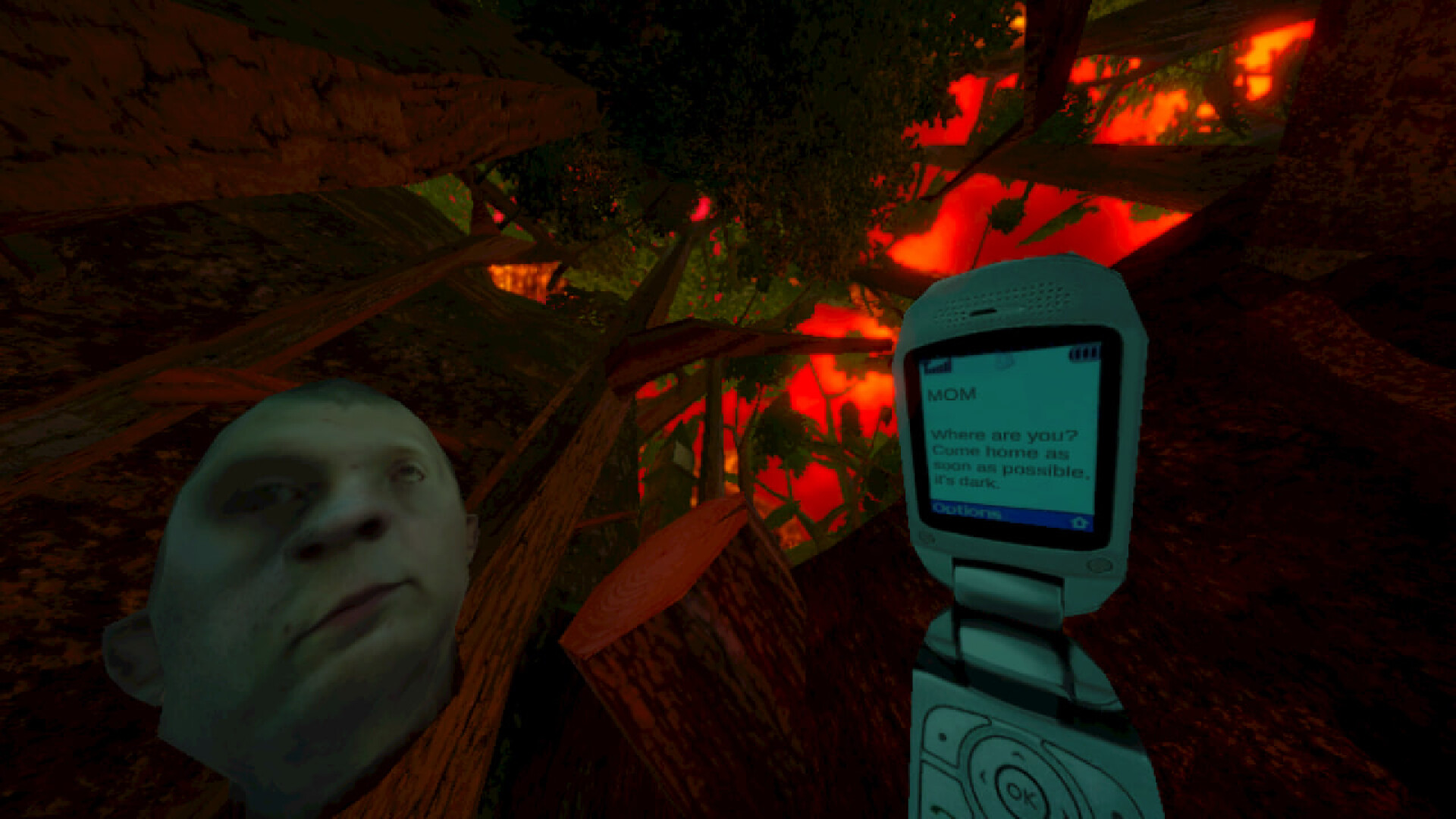 暴煞狂想2/Violent Horror Stories-星玥资源网