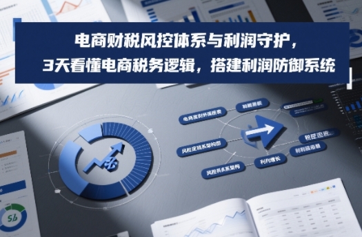 电商财税风控体系与利润守护，3天看懂电商税务逻辑，搭建利润防御系统-星玥资源网