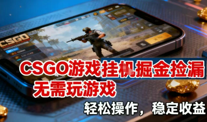 CSGO游戏挂G掘金捡漏，不需要玩游戏，操作简单，收益稳定【揭秘】-星玥资源网
