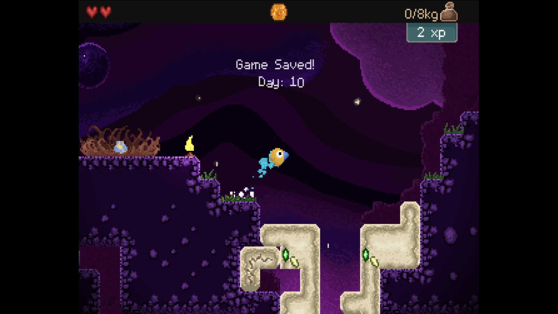 钻头鸟/Drill Bird-星玥资源网