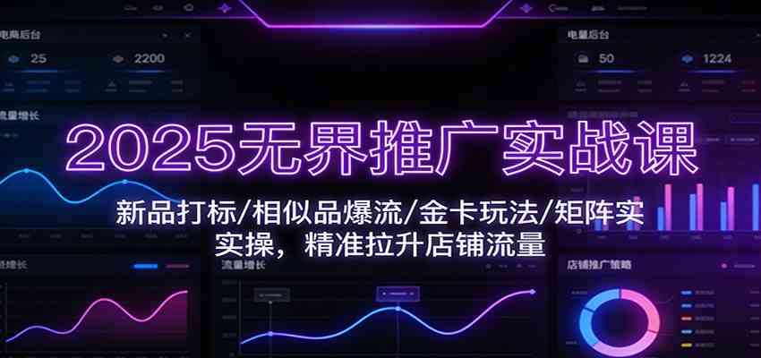 2025无界推广实战课：新品打标/相似品爆流/金卡玩法/矩阵实操，精准拉升店铺流量-星玥资源网