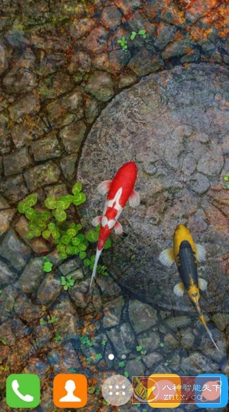 Water Garden Live Wallpaper 锦鲤3D动态壁纸2.05专业版-星玥资源网