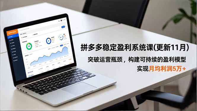 （16641期）拼多多稳定盈利系统课(更新11月)，突破运营瓶颈，构建可持续的盈利模型，实现月均利润5万+-星玥资源网
