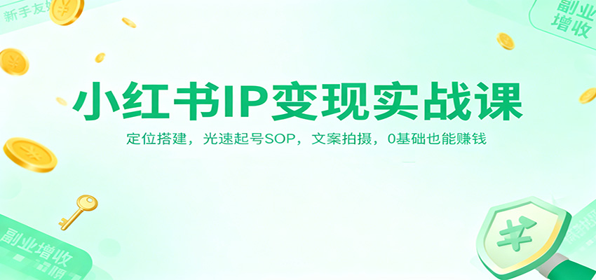 小红书IP变现实战课：定位搭建，光速起号SOP，文案拍摄，0基础也能赚钱-星玥资源网