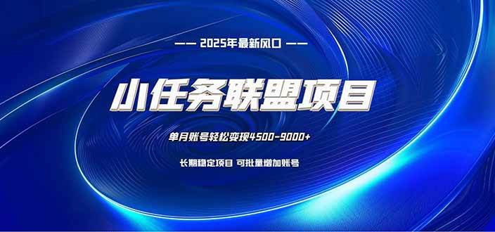 （16521期）小任务联盟项目：一台电脑每天只需10分钟，轻松简单稳定-星玥资源网