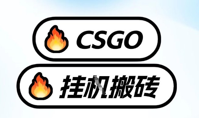真全网独家CSGO挂G，最新玩法,单日捡漏1K+，不用电脑，不用打游戏【揭秘】-星玥资源网