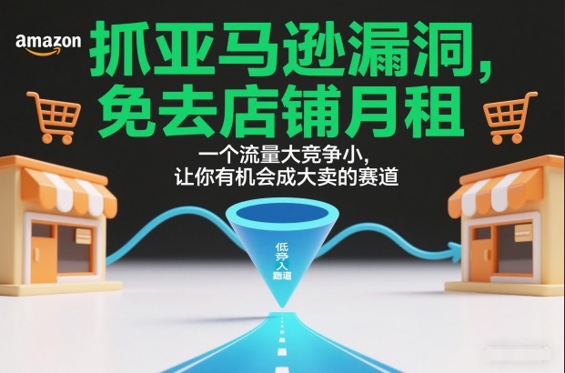 抓亚马逊漏洞，免去店铺月租，一个流量大竞争小，让你有机会成大卖的赛道-星玥资源网