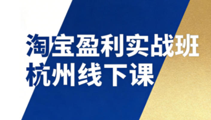 淘宝盈利实战班杭州线下课12月26-28日（音频+字幕），帮你掌握SOP流程+12门核心技术-星玥资源网