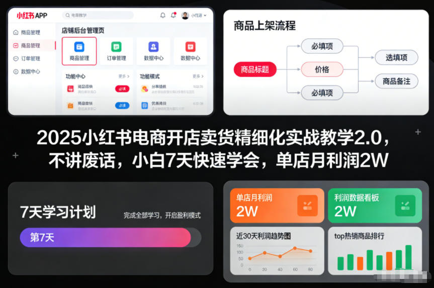 2025小红书电商开店卖货精细化实战教学2.0，不讲废话，小白7天快速学会，单店月利润2W-星玥资源网