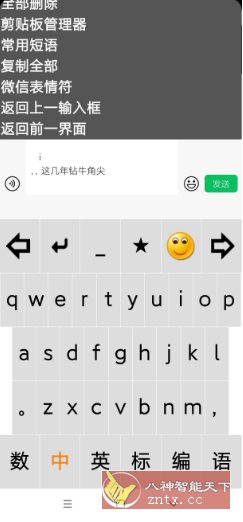 点明输入法v3.0.0729 –专为视障朋友打造的盲用输入法-星玥资源网
