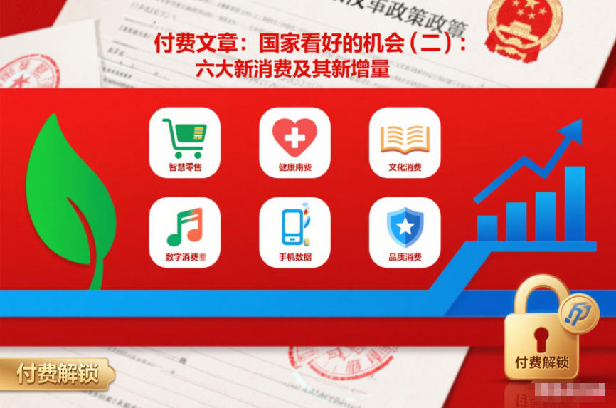 付费文章：国家看好的机会(二)：六大新消费及其新增量-星玥资源网