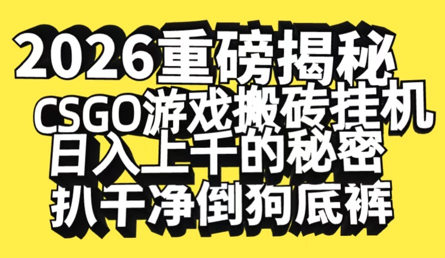 2026开年重磅解密，CSGO游戏搬砖挂机日入上千的秘密，把倒狗的底裤扒干-星玥资源网