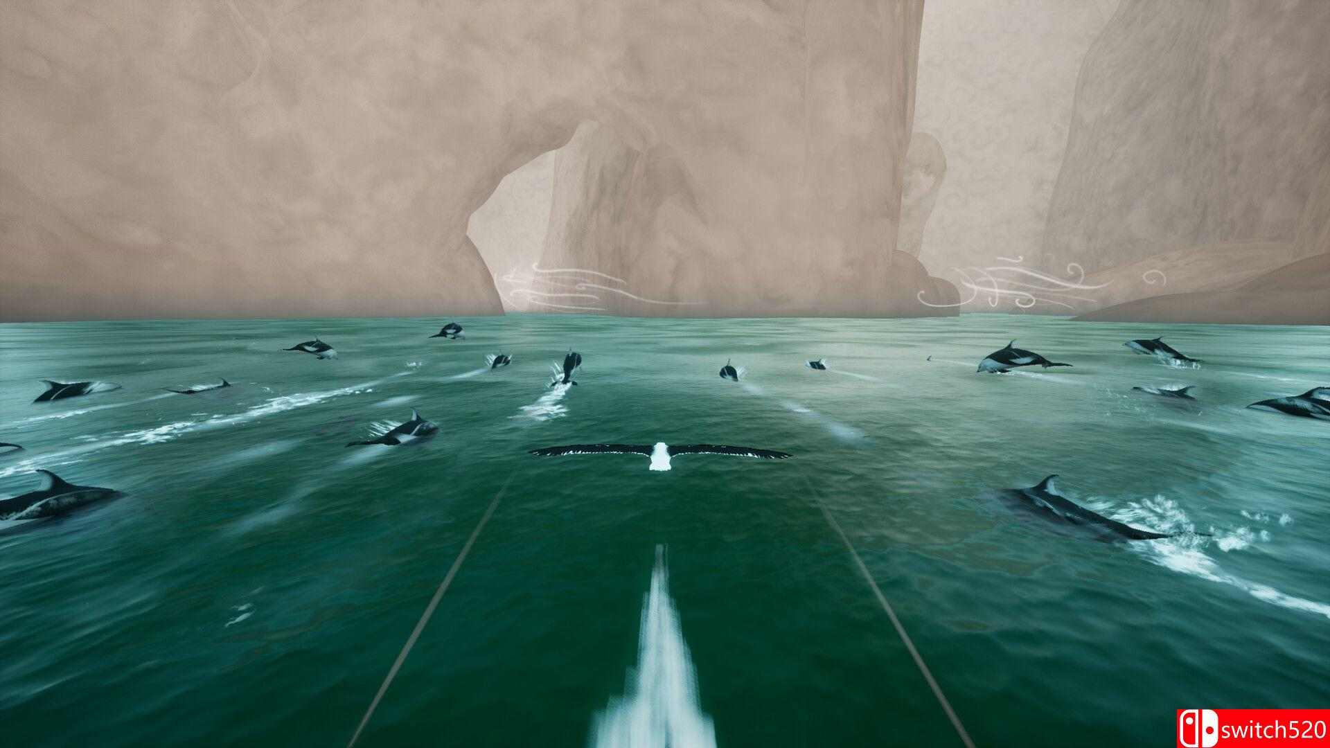 《托罗阿：天际呼唤（Toroa: Skycall）》[英文]