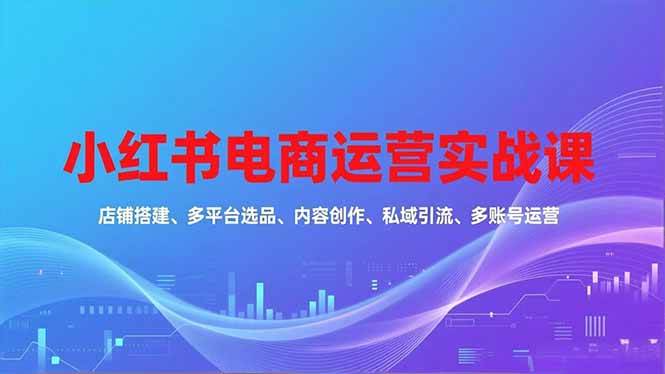 （16695期）小红书电商运营实战课，店铺搭建、多平台选品、内容创作、私域引流、多账号运营等玩法-星玥资源网