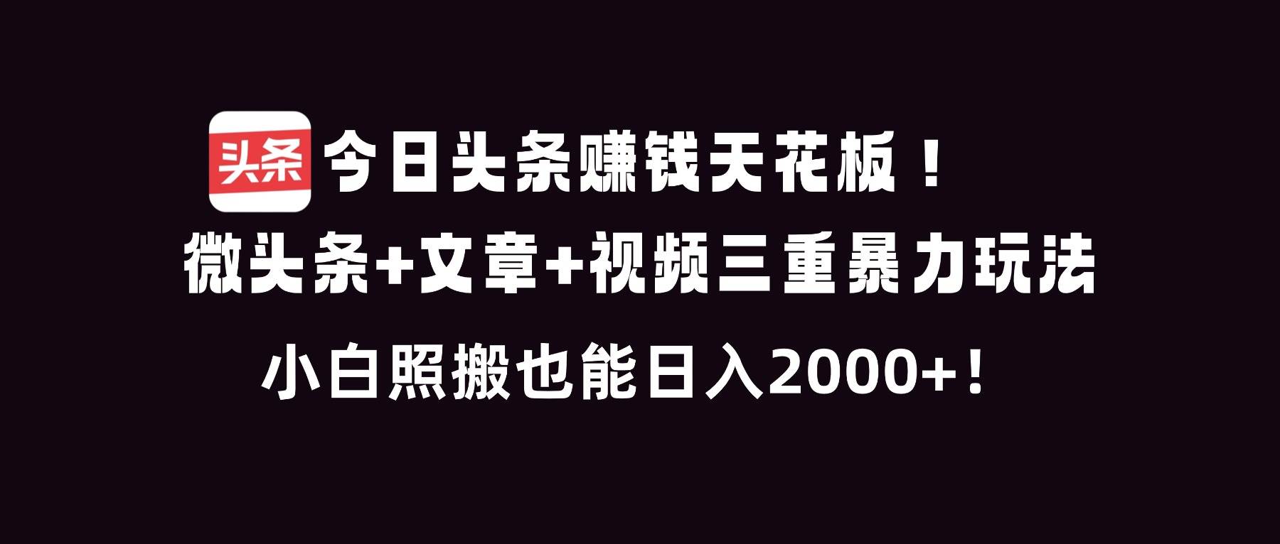 （16888期）今日头条赚钱天花板！微头条+文章+视频三重暴利玩法，小白照搬也能日人2000+-星玥资源网