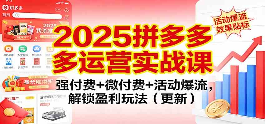 2025拼多多运营实战课：强付费+微付费+活动爆流，解锁盈利玩法（更新）-星玥资源网
