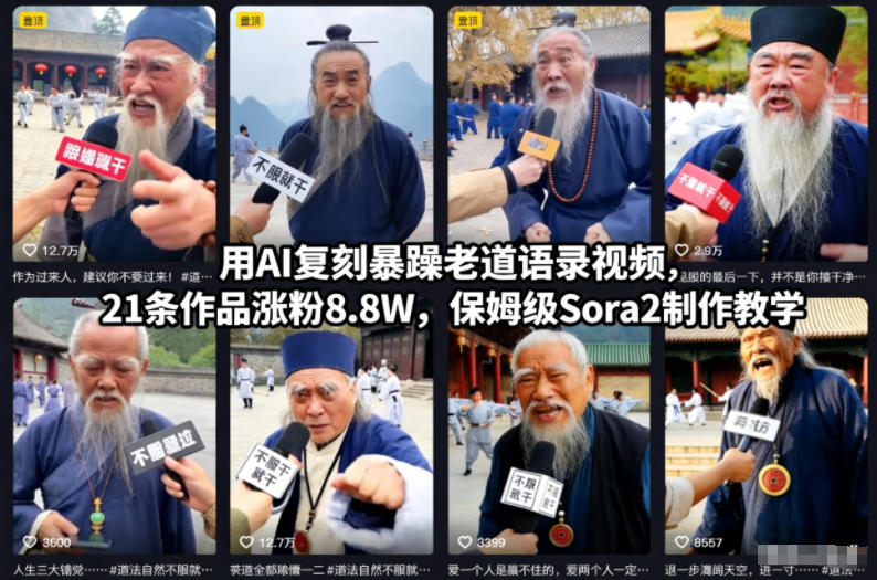 用AI复刻暴躁老道语录视频，21条作品涨粉8.8W，保姆级Sora2制作教学-星玥资源网